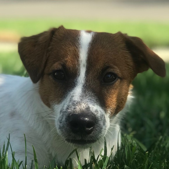 Meet your Posher, Matt - Picture 1 of 1